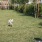 Bark Park